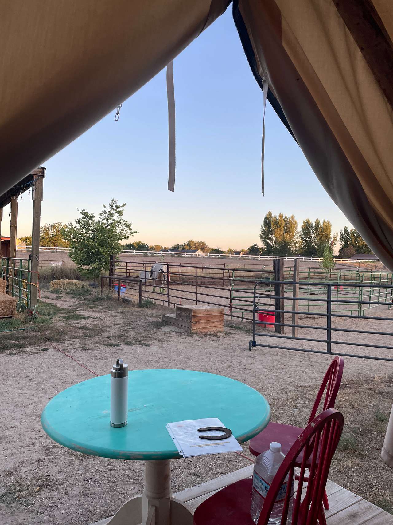 View from the tent