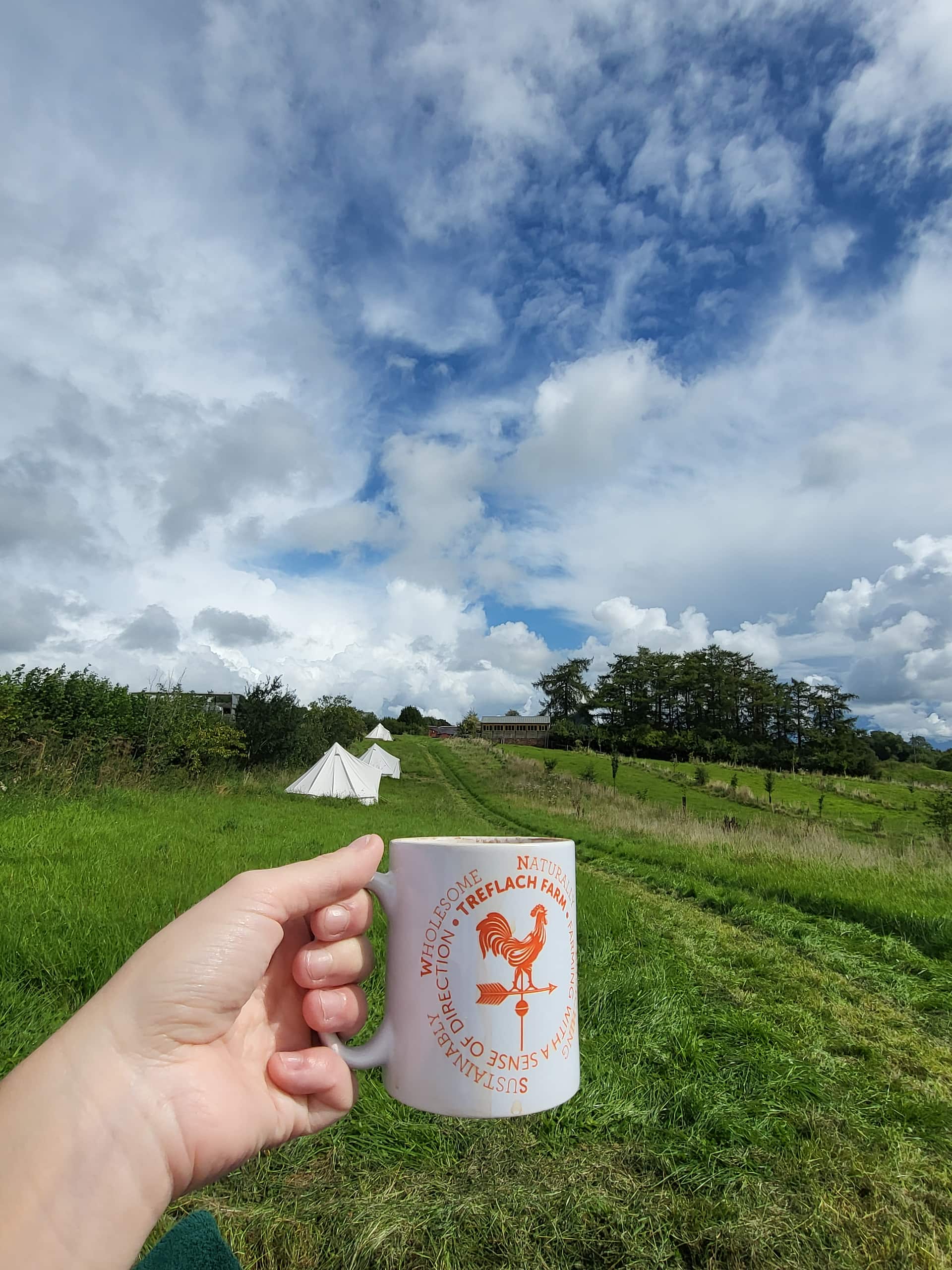 Treflach Farm