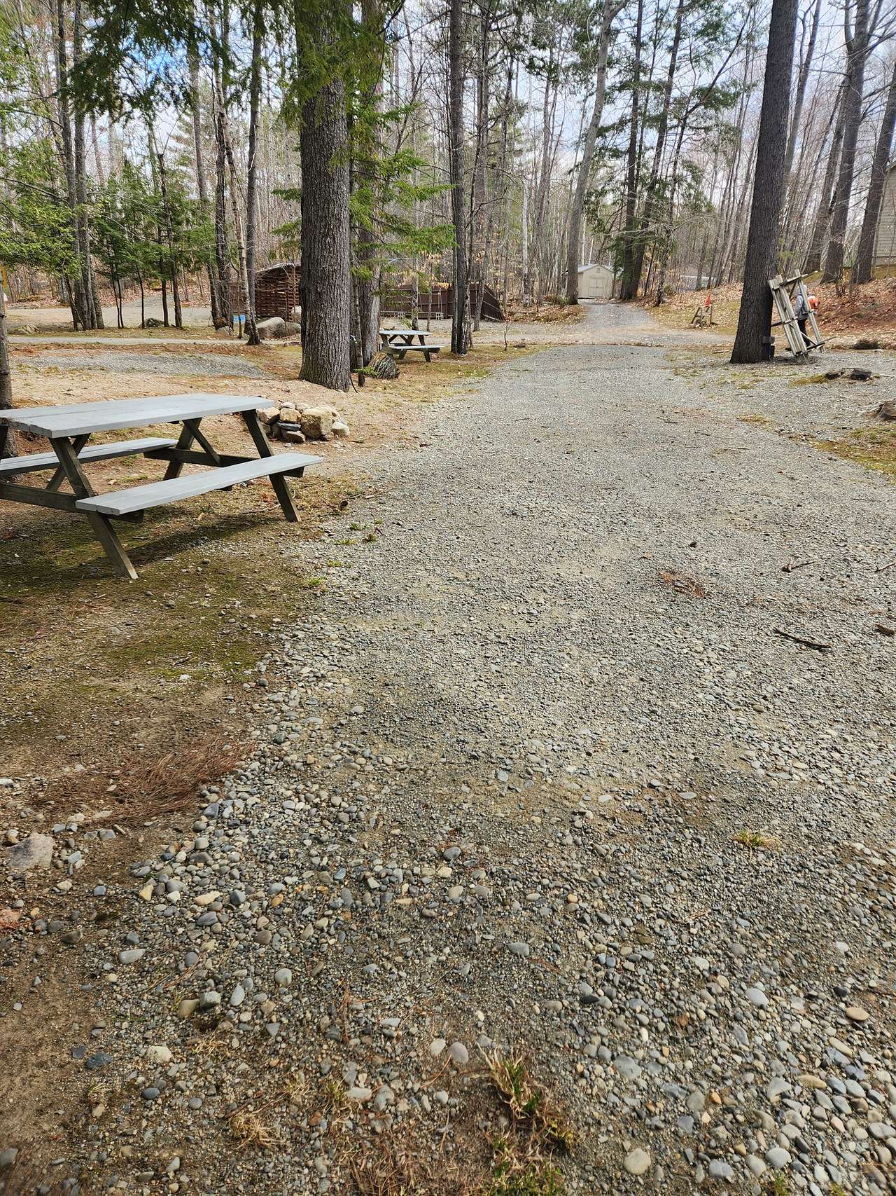 Big Moose Inn Cabins & Campground