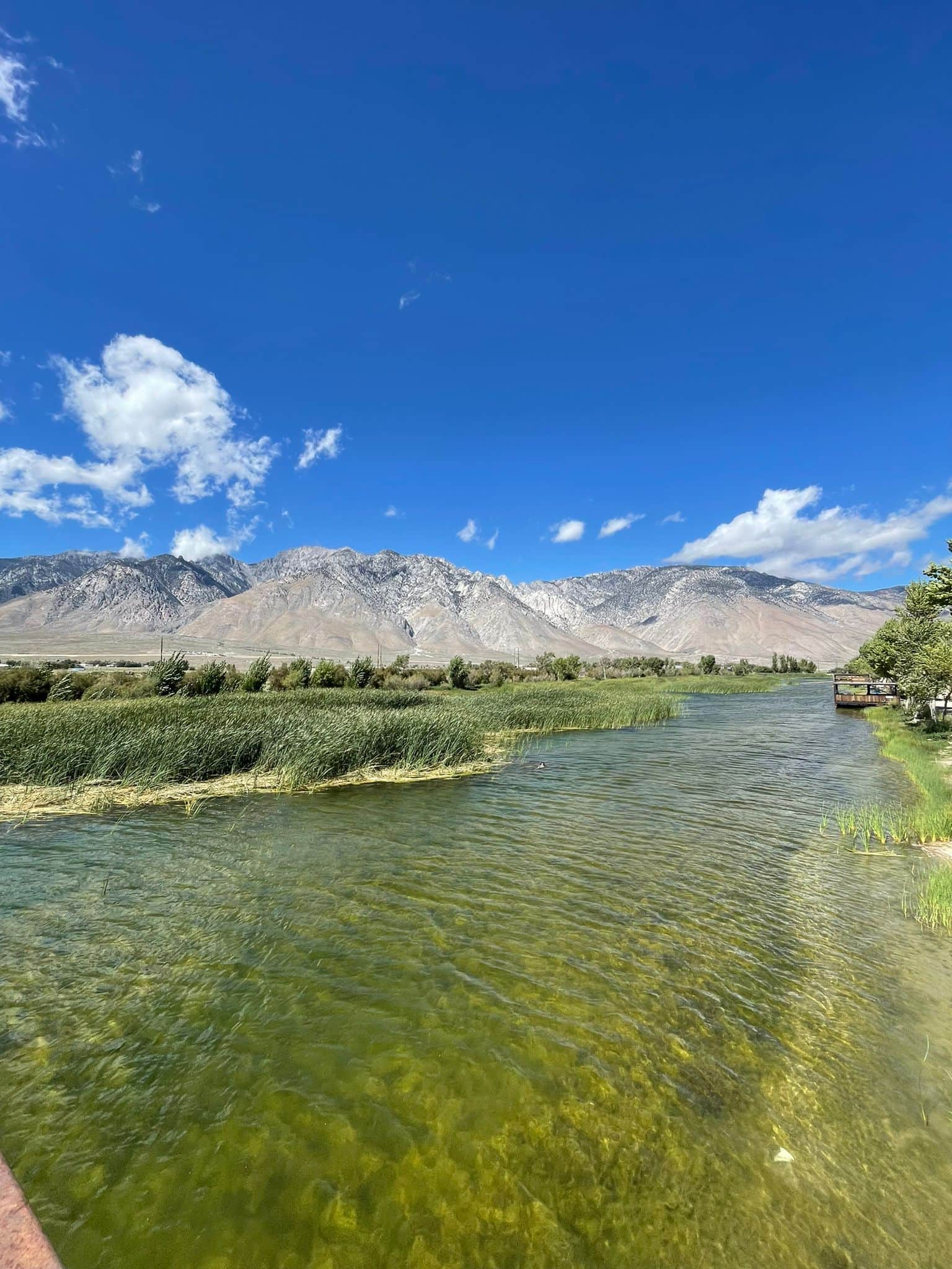 Lake Olancha RV Park Campground