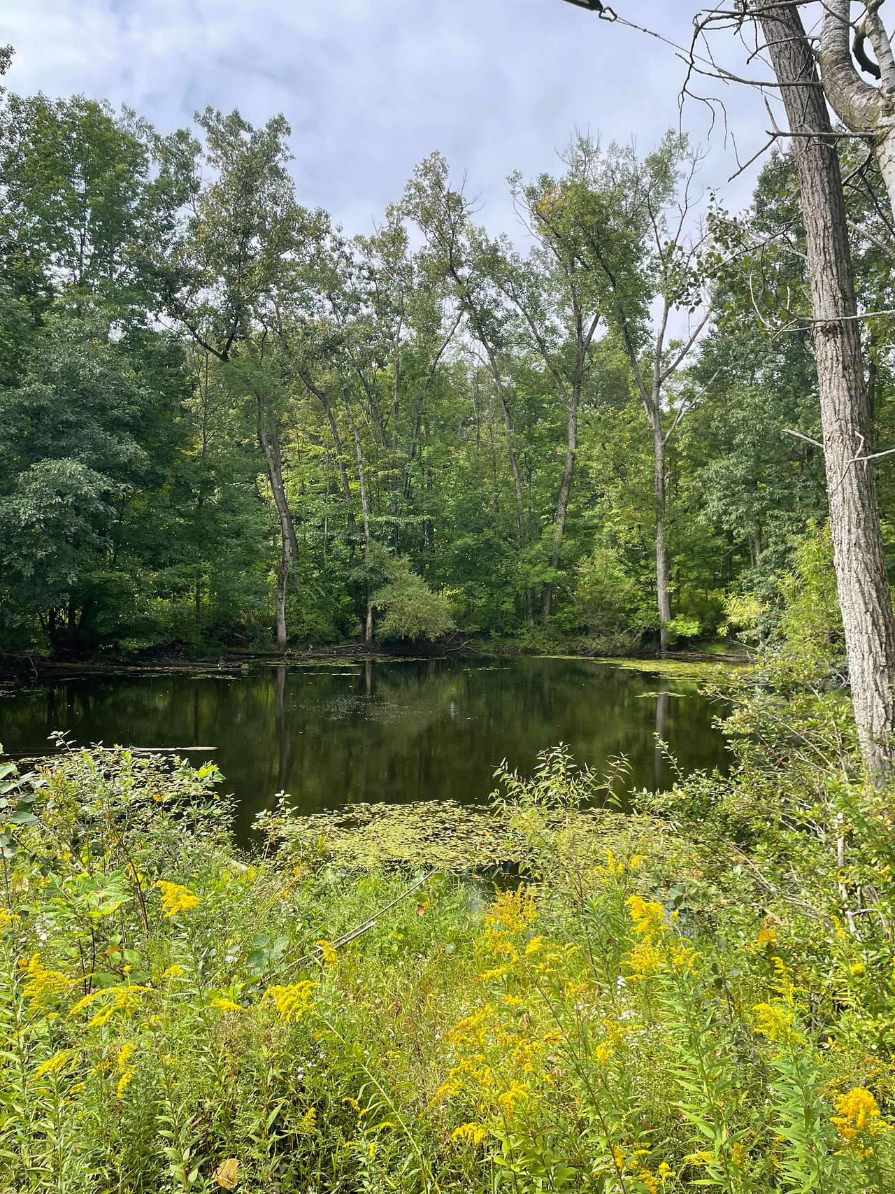 High Falls Farm