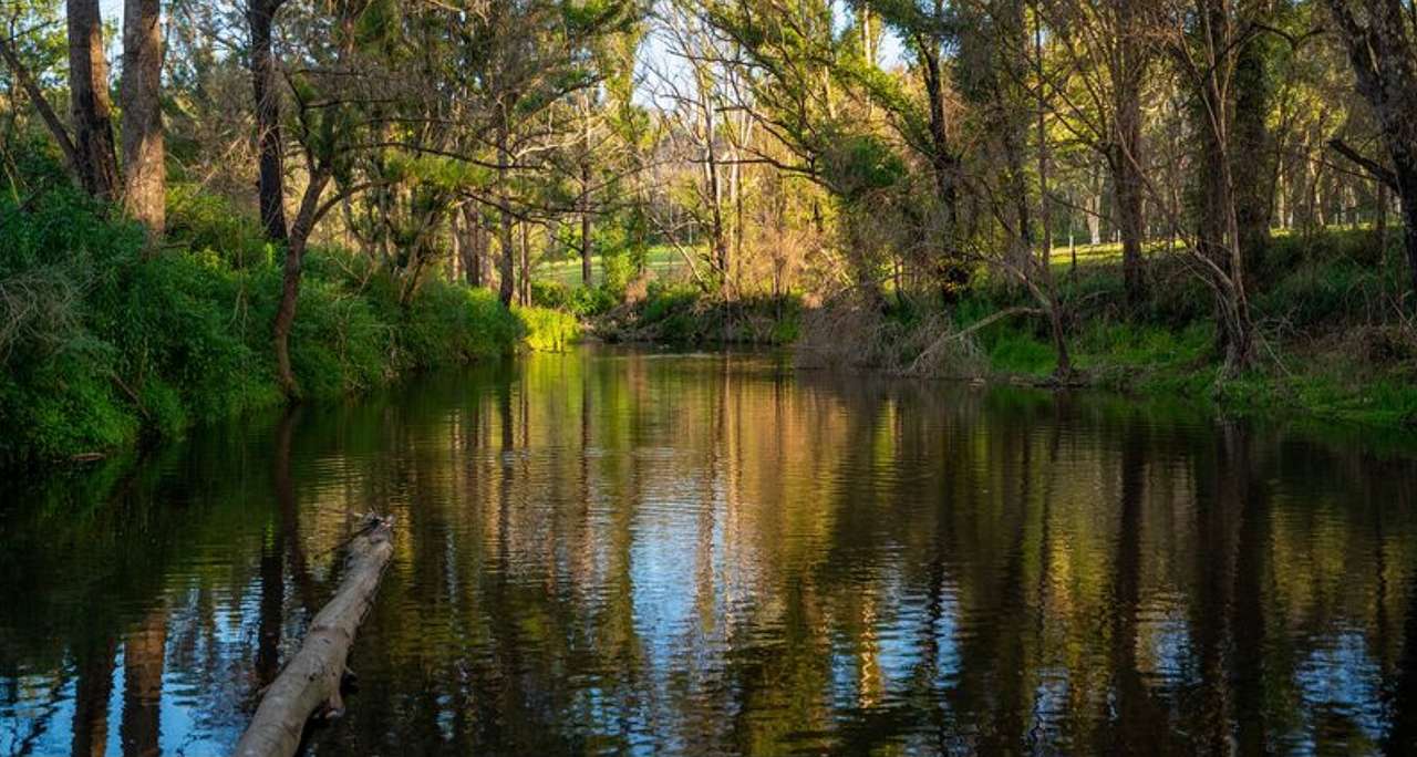 Wombat Hollow