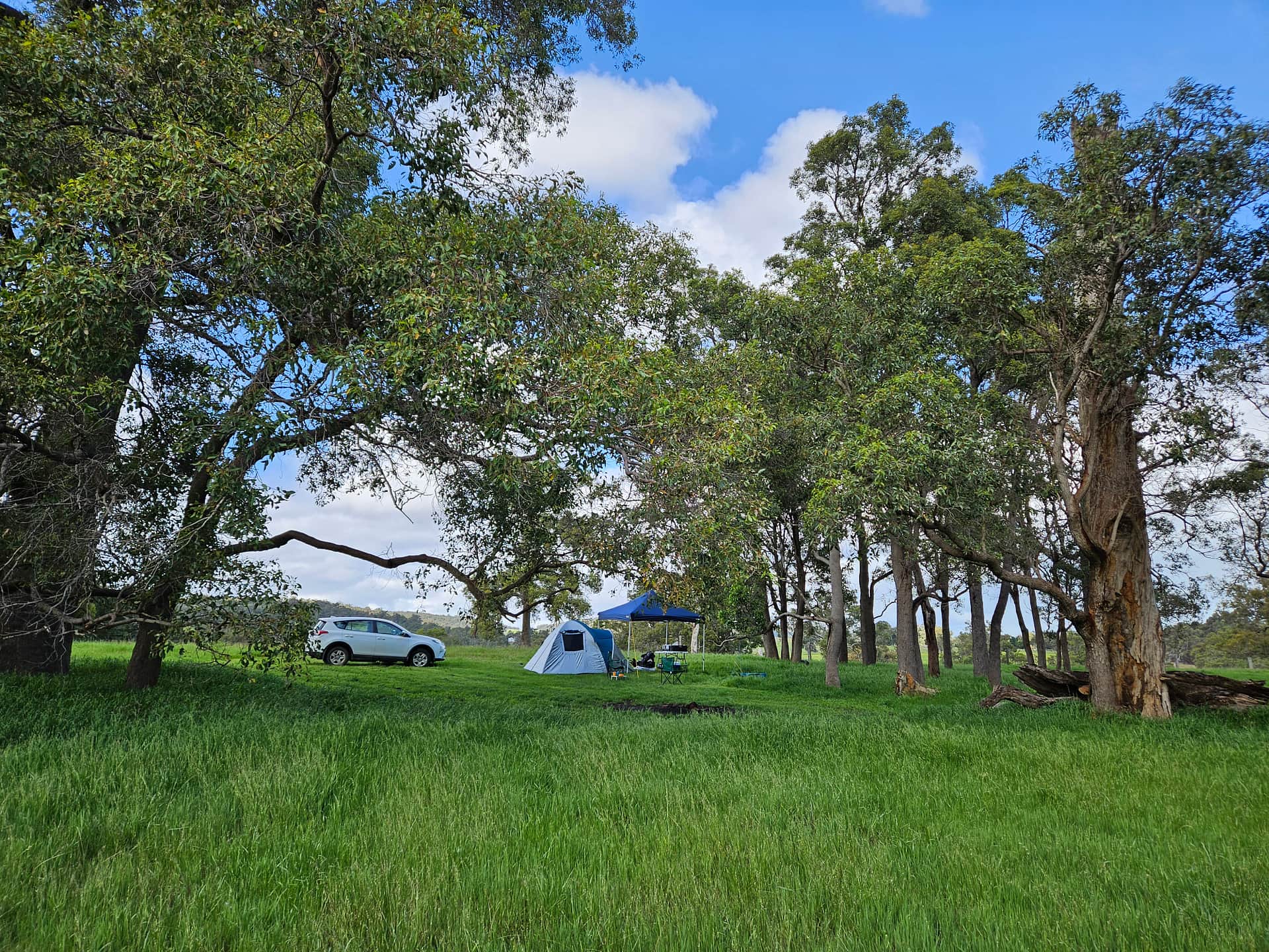 Picture of the site