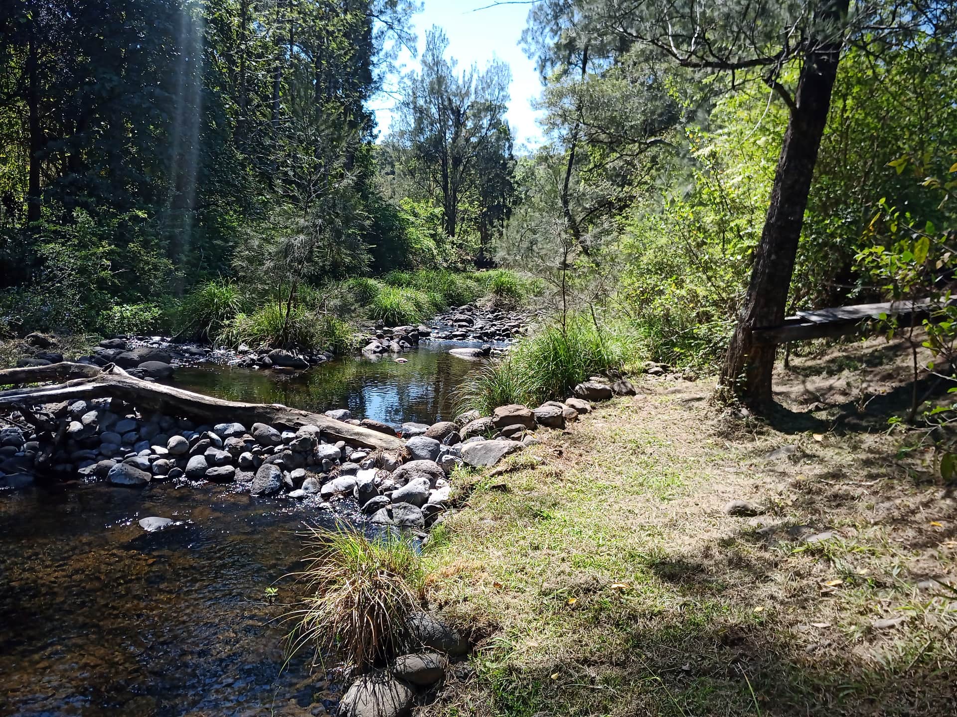 Warrazambil Creek borders us to the north, with over 750m of creek frontage in total. This creek has never run dry and is fed by the pristine waters of the Border Ranges rain forest. Swimming holes and a gorgeous magical forest bank area make this the perfect place to relax.