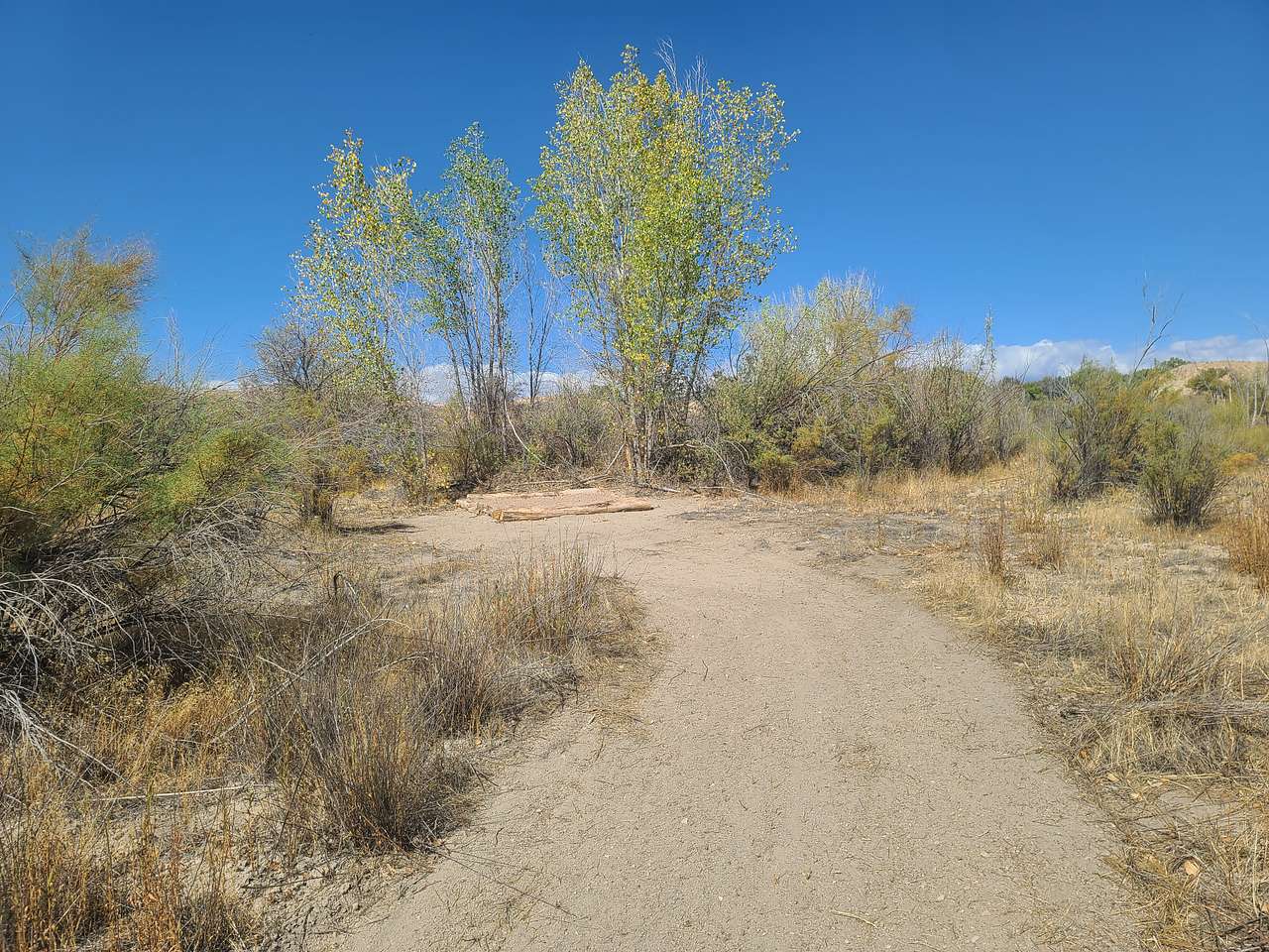Bear Family Ranch, RV and Camping
