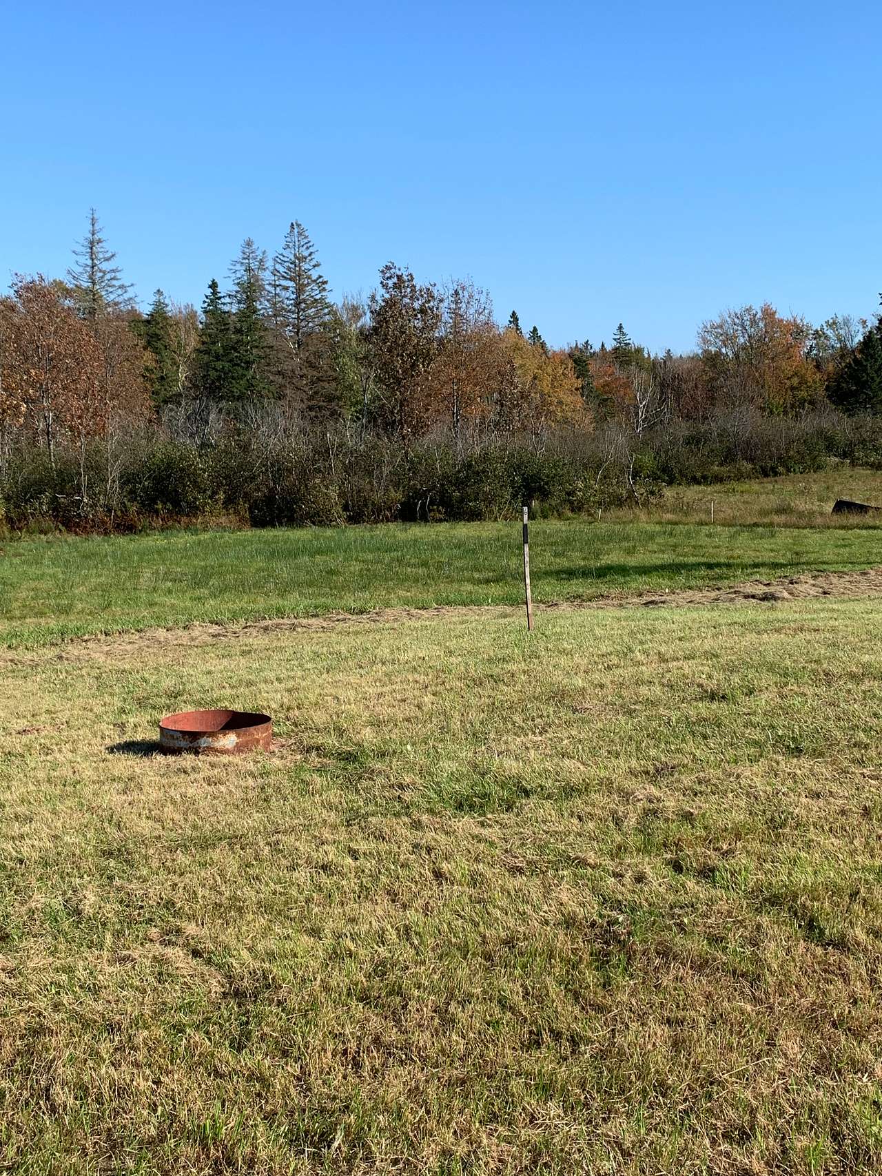 Acadian Coastal Camping & Dog Park