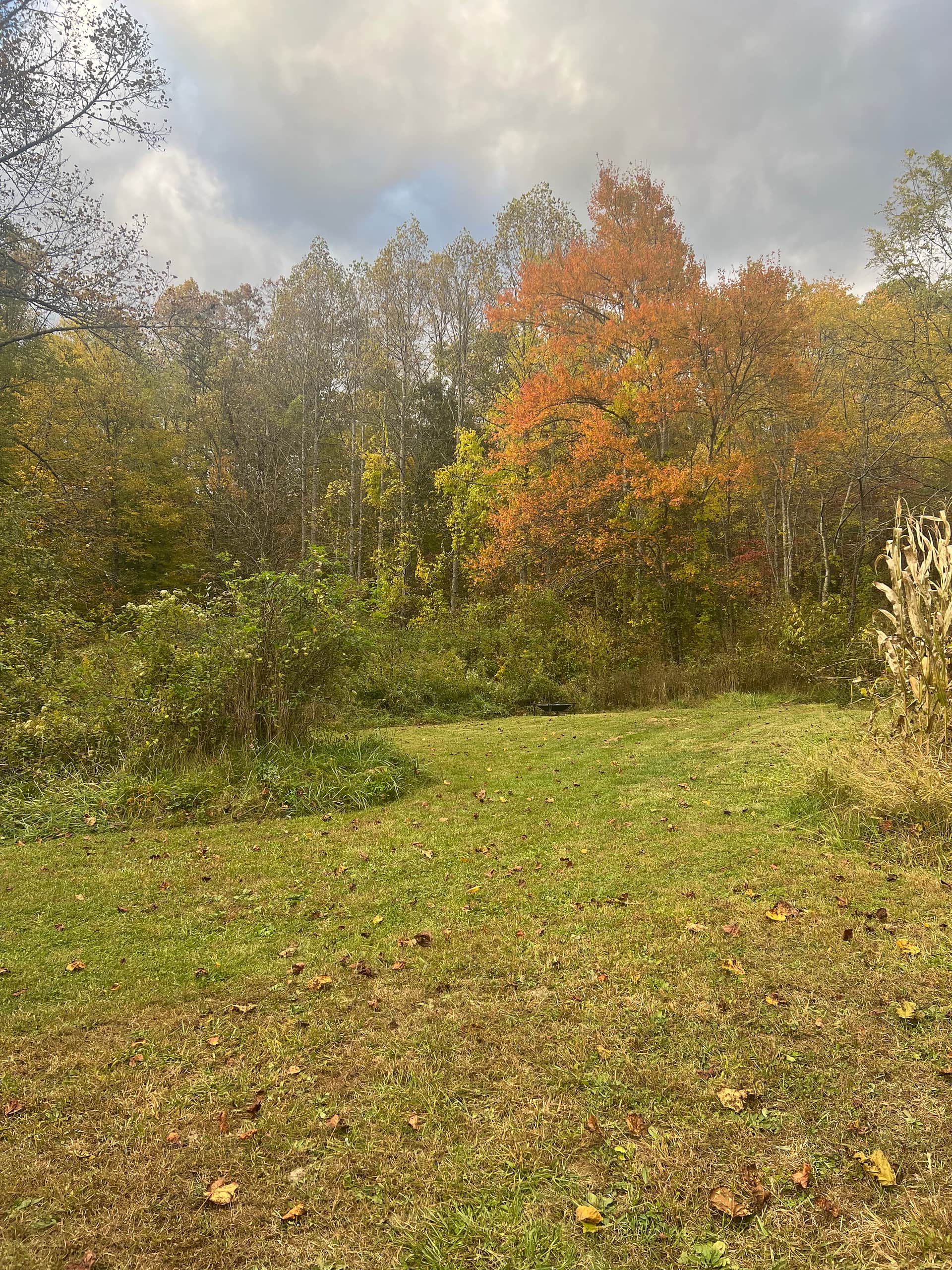 Appalachian Pond Campground