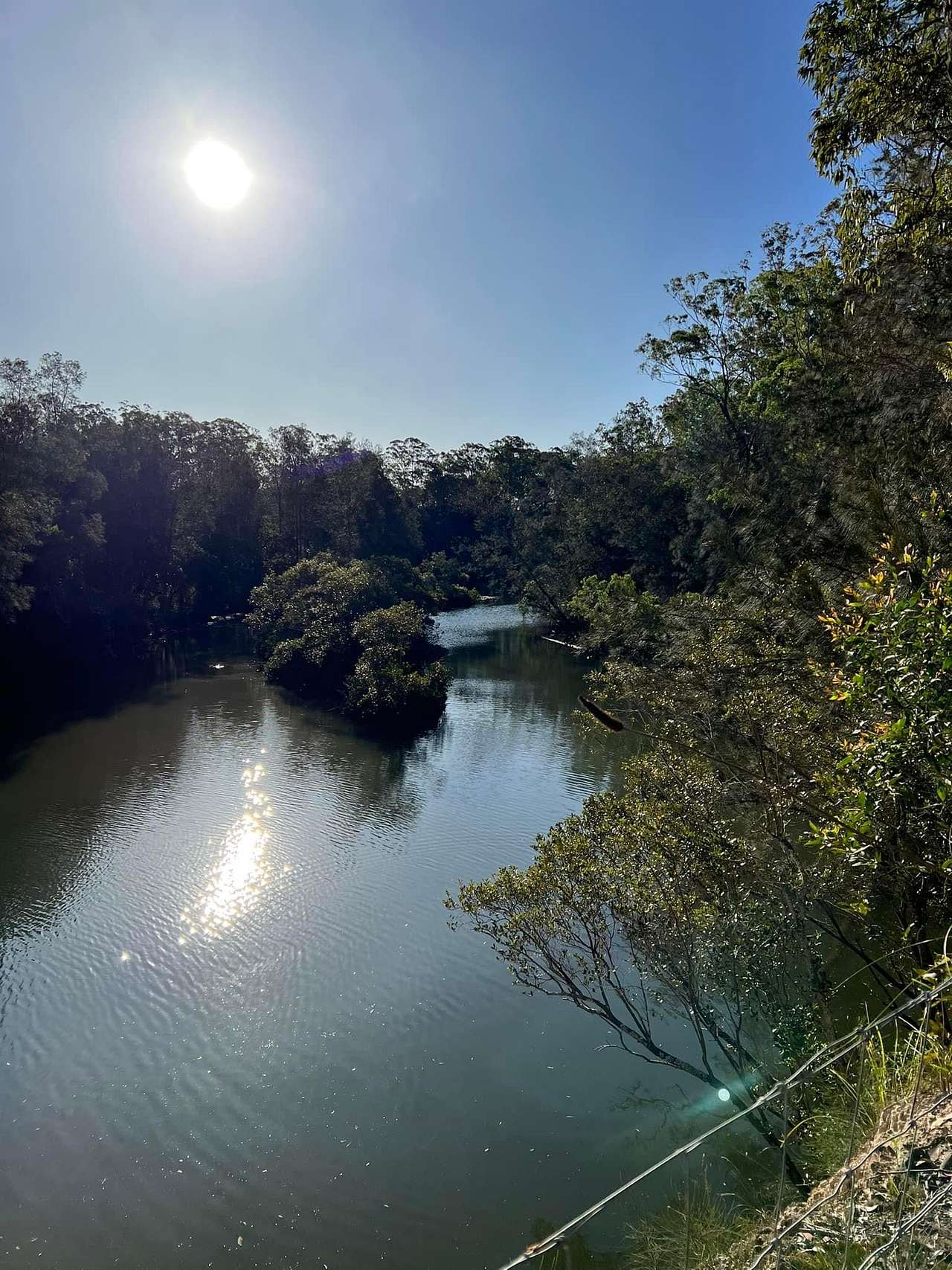 Picture of the site