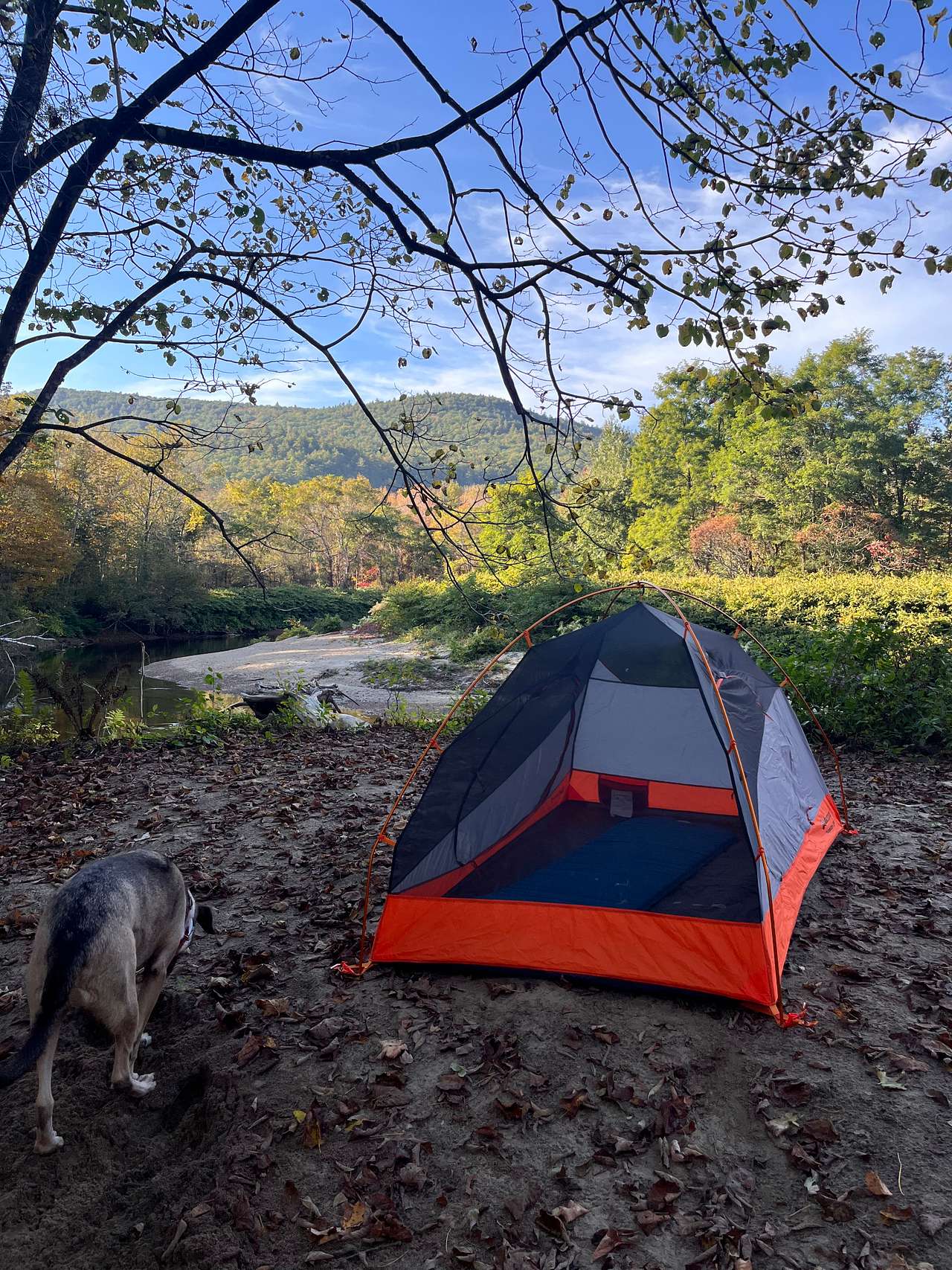 Beautiful camp site!