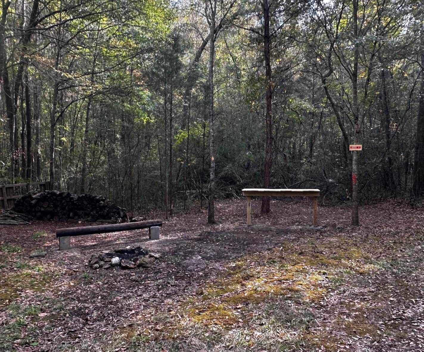 Site 4