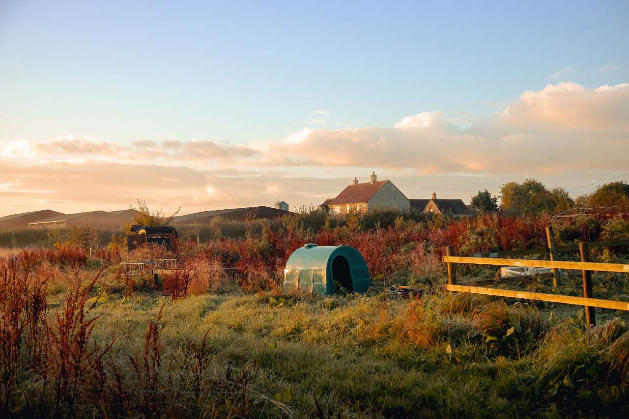 Feltham’s Farm Cheese Barn