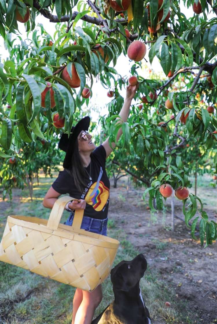 View pets photos of Hidden Acres Orchards
