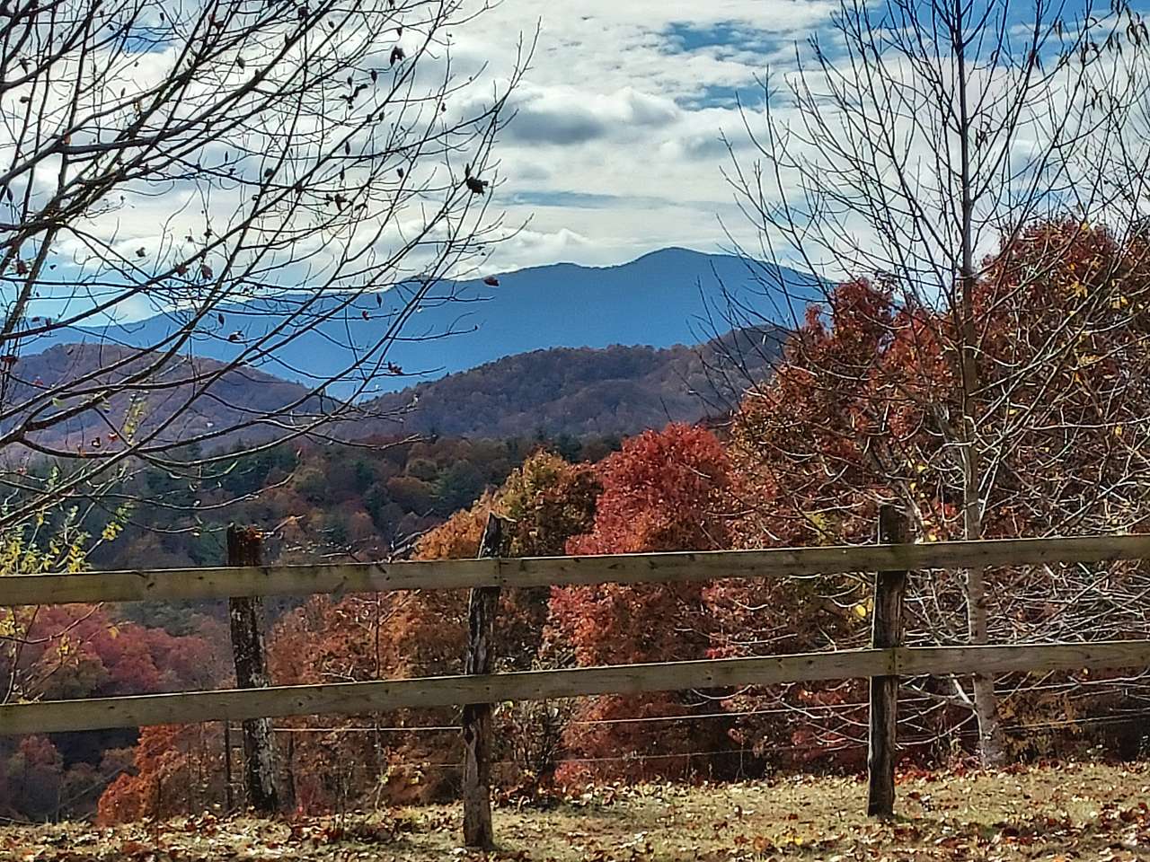 Blue Ridge Camping Covington Forest