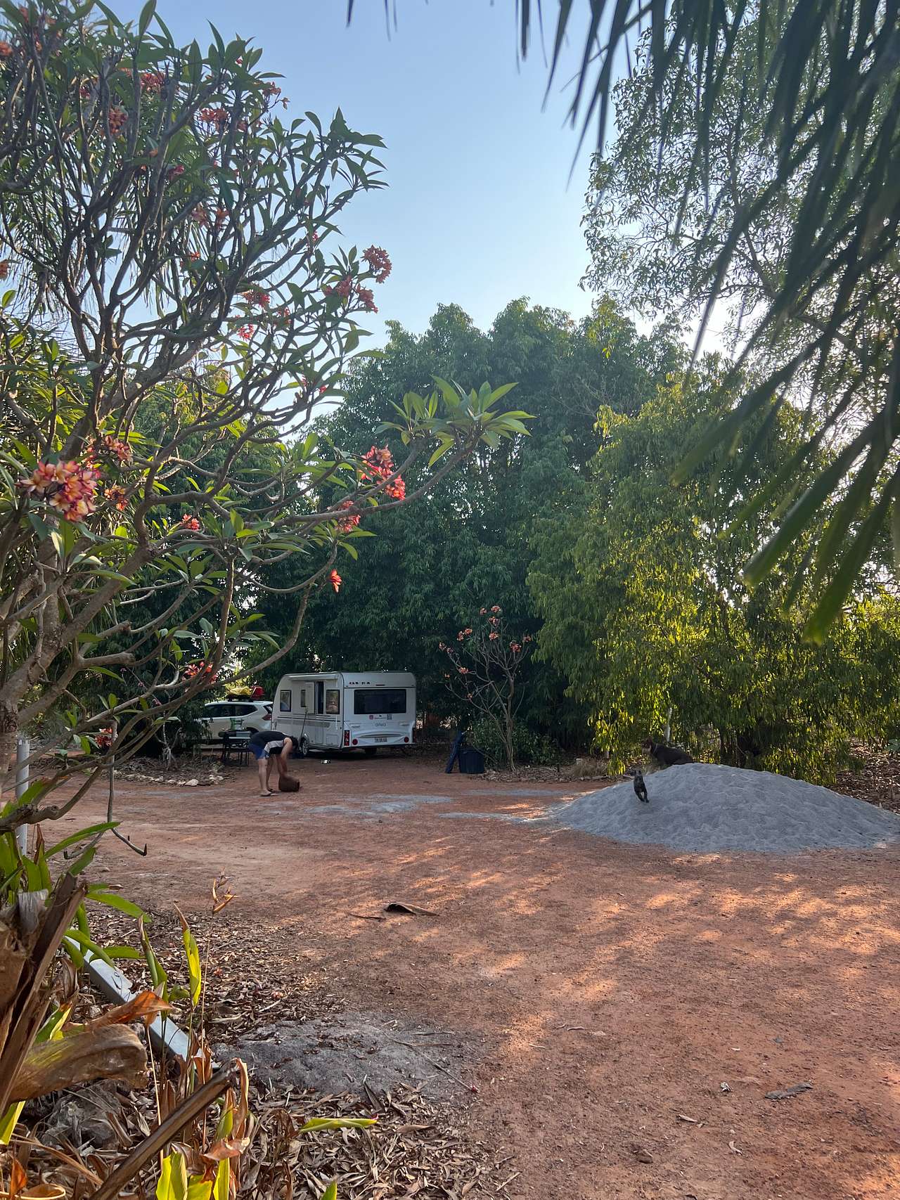 Picture of the site