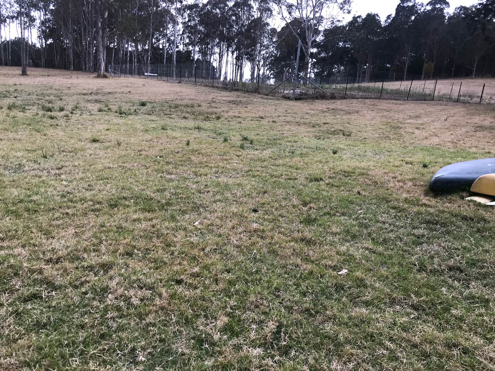 Camp area