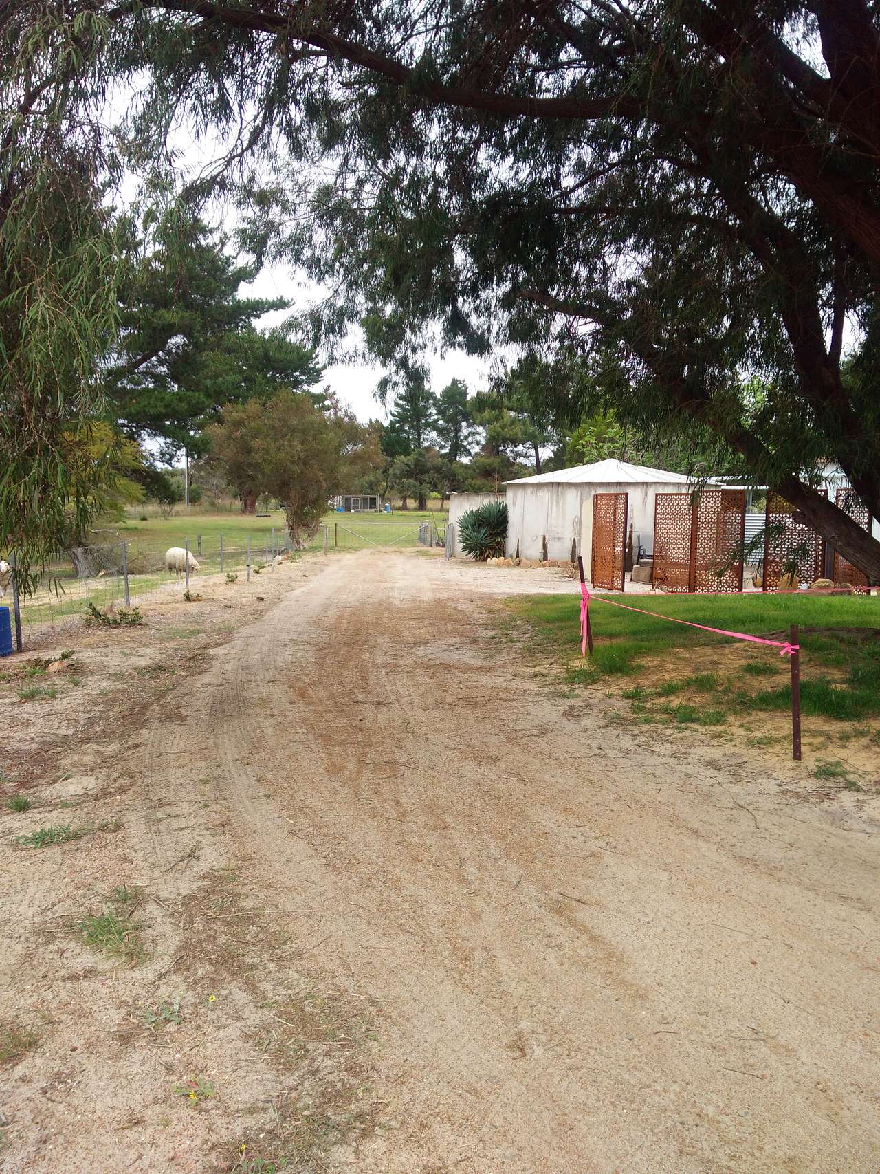 Picture of the site