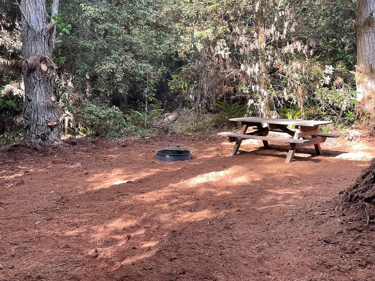 Jug Handle Creek Nature Center