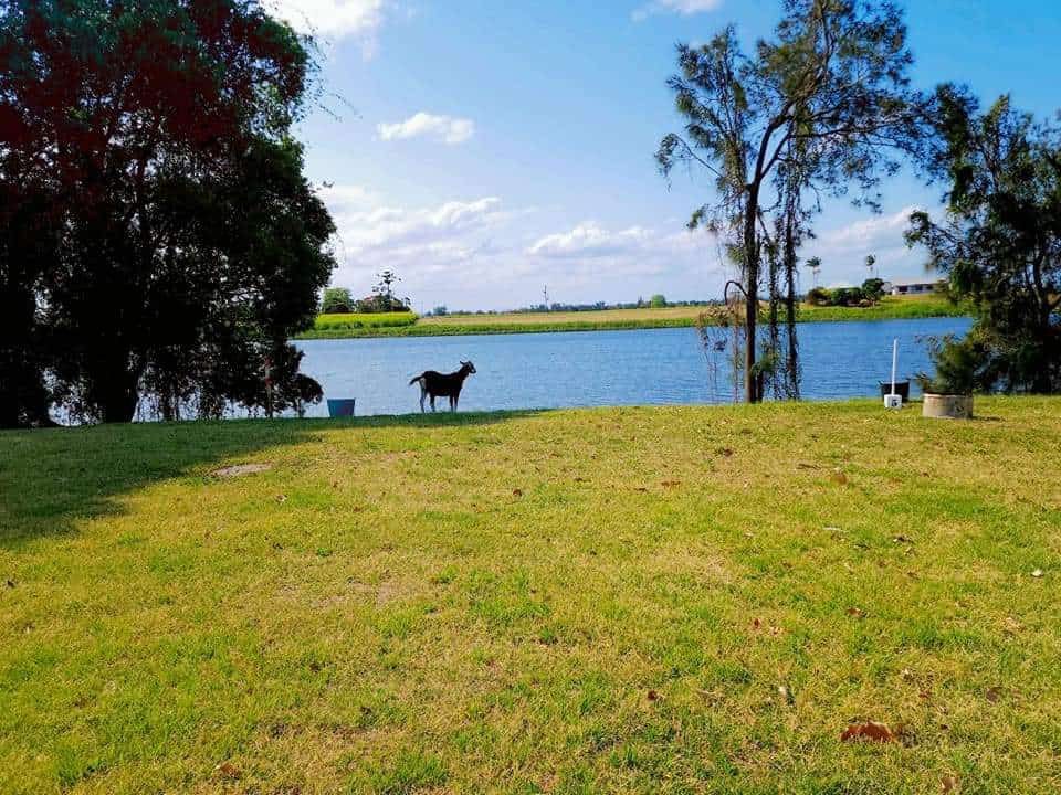 River terrace camping Cowper 2460