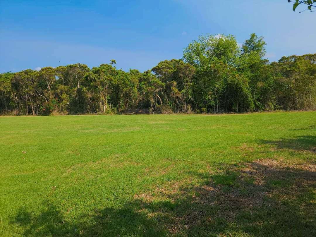 River terrace camping Cowper 2460