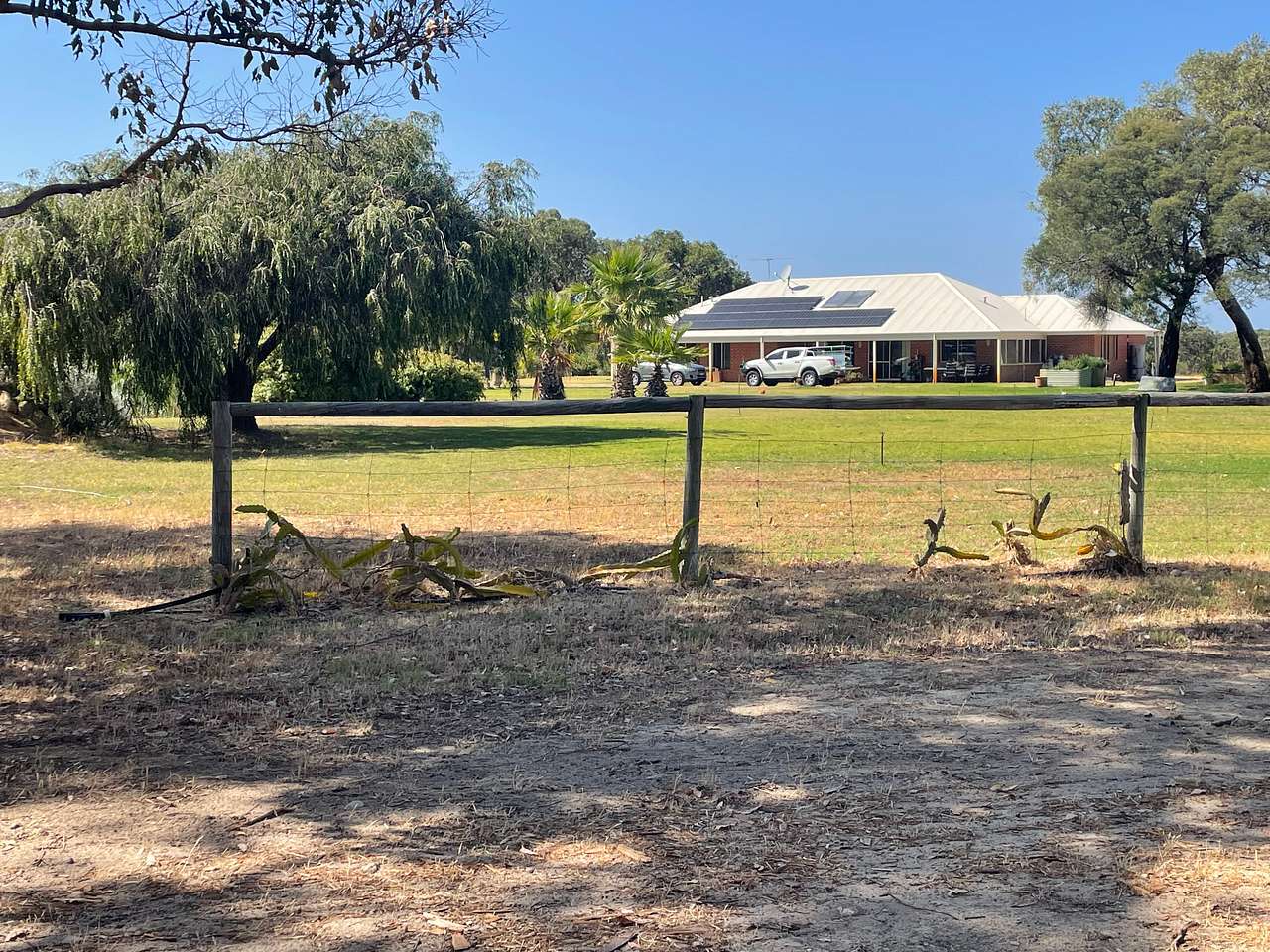 Picture of the site