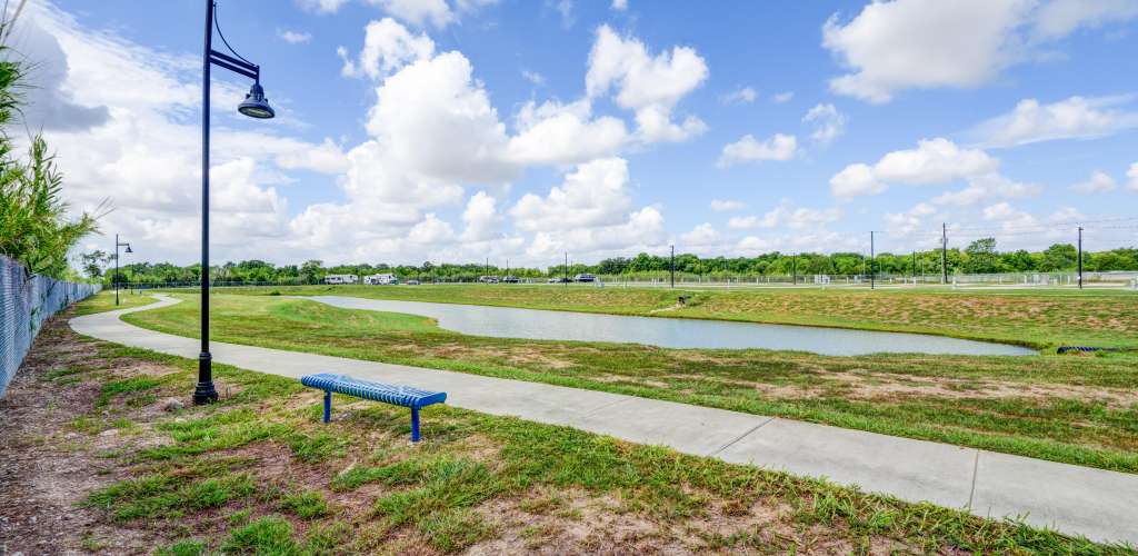Picture of the site