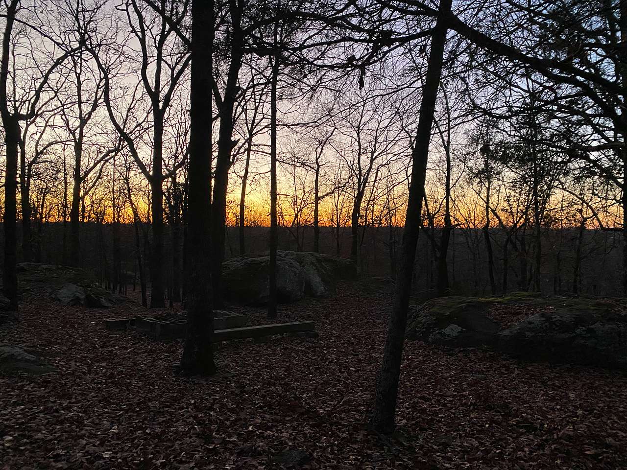 Picture of the site