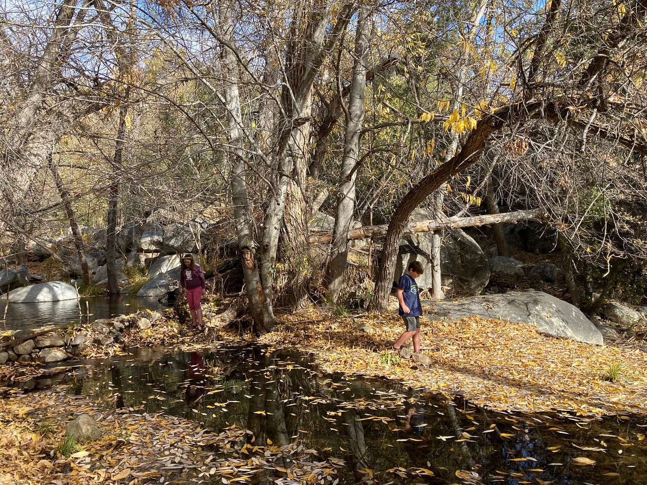 Tillie Creek, down the path below the swing