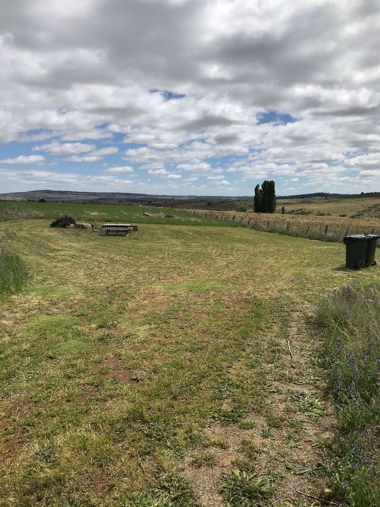The site looking north