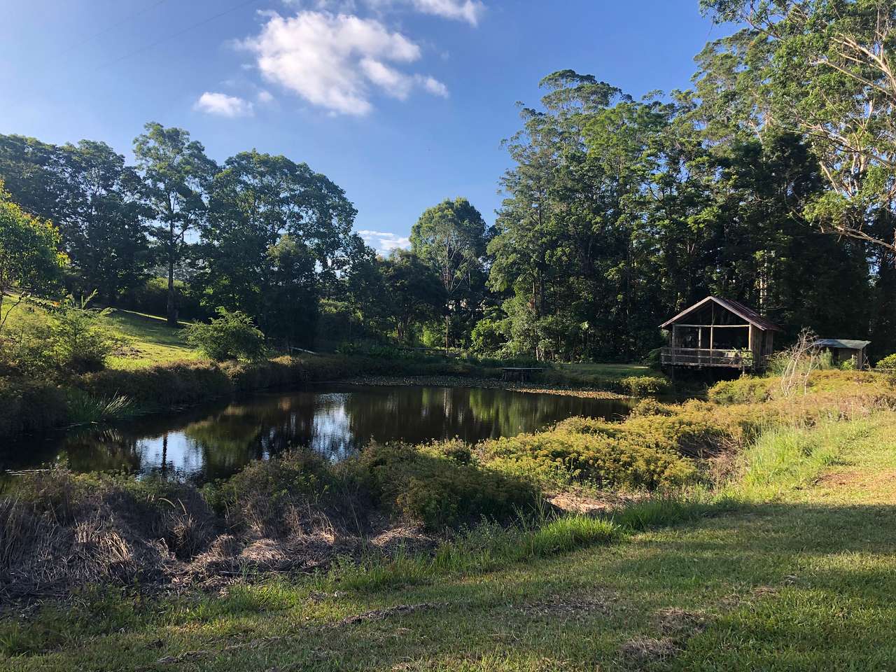 Bucca Valley Blueberries Farmstay