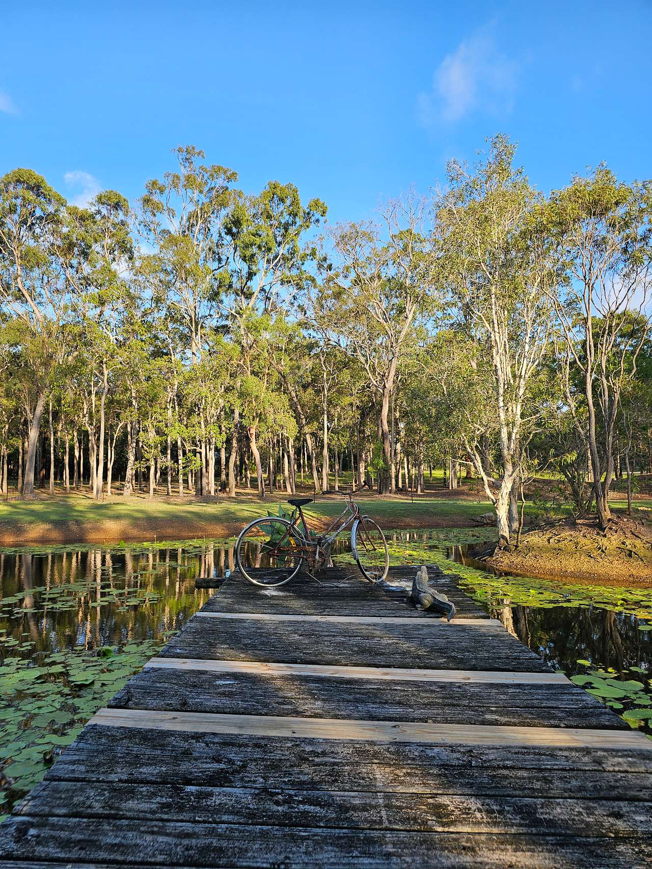 Picture of the site