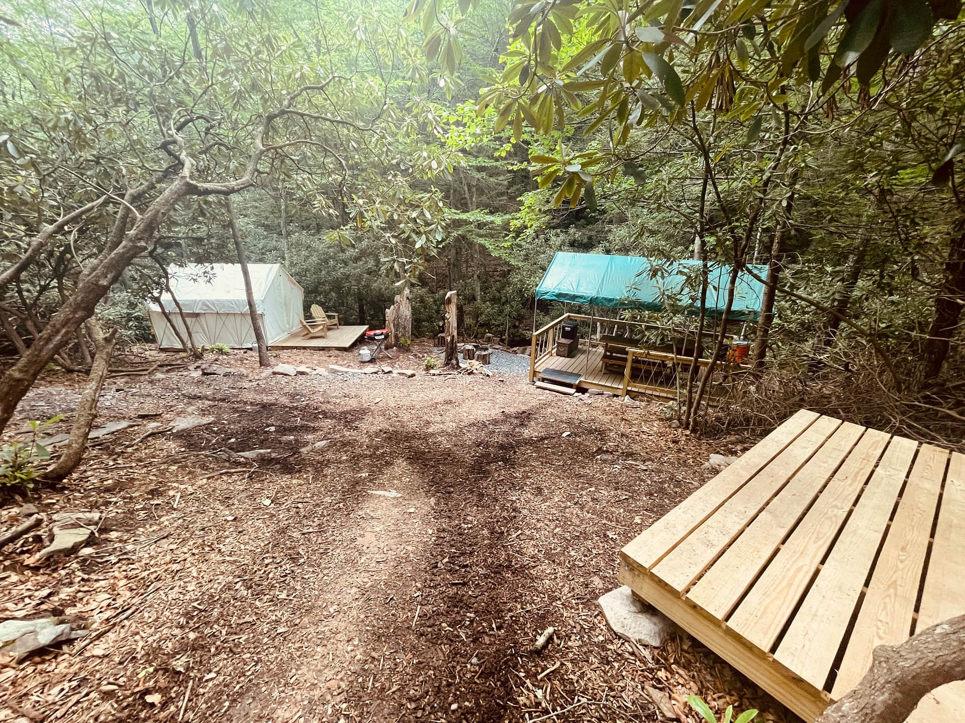 Camp Dietrich on Bear Creek