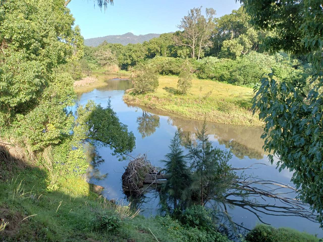 McKenzies Mountain, Wollumbin