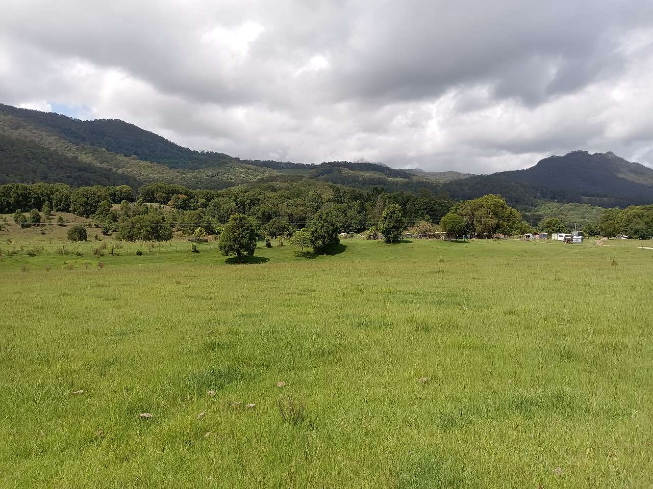 McKenzies Mountain, Wollumbin