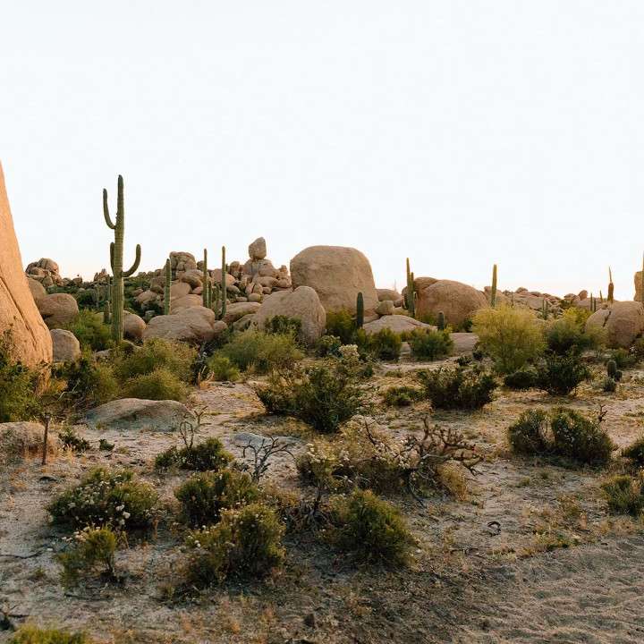 Picture of the site