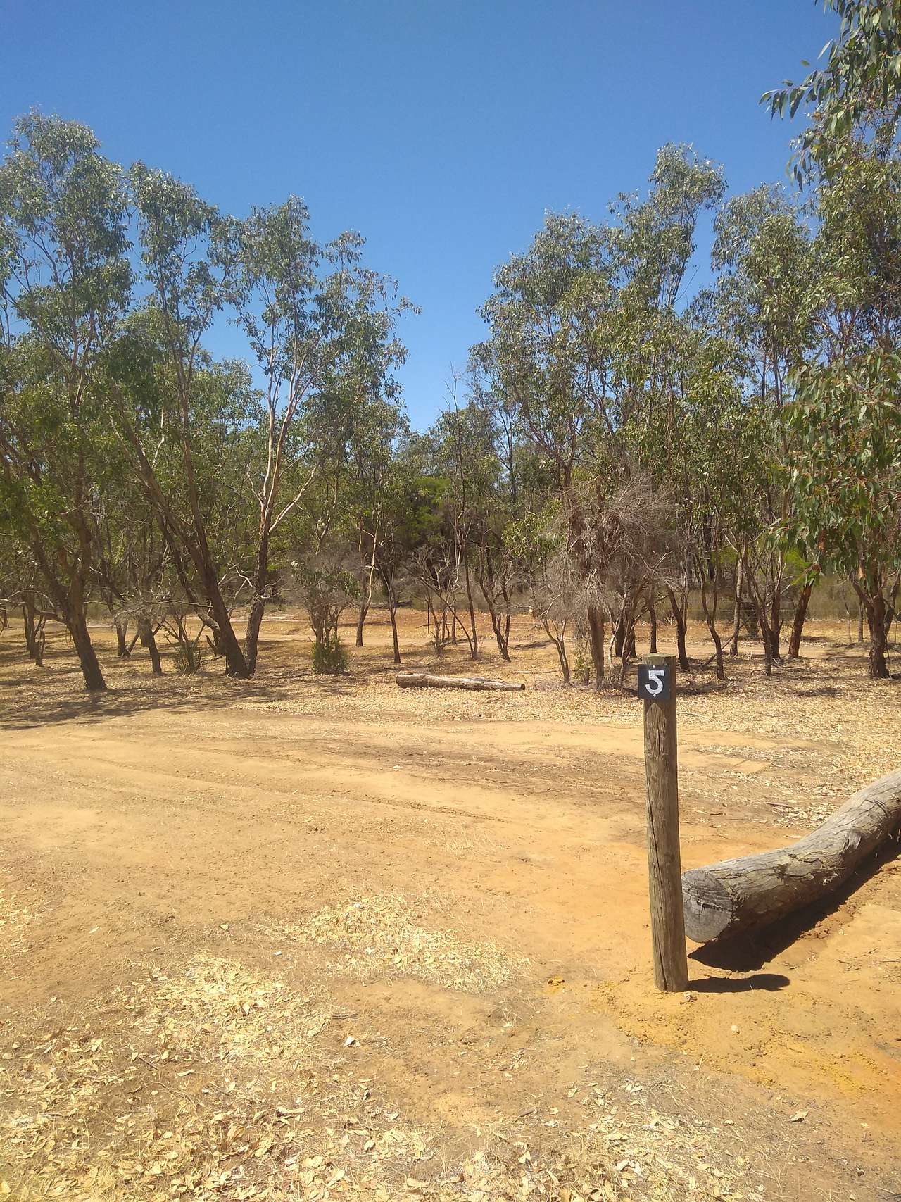 Paperbark Creek
