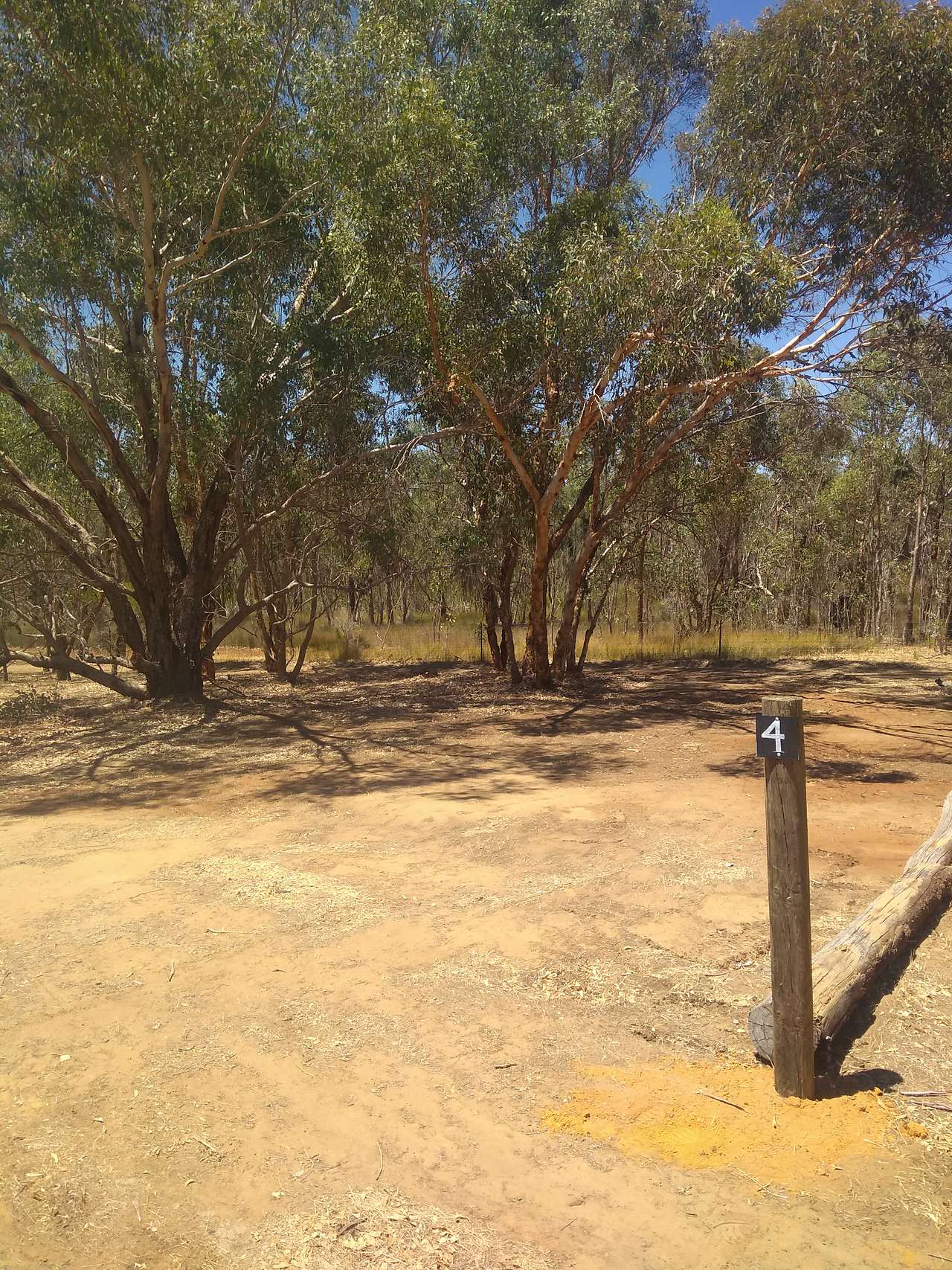 Paperbark Creek