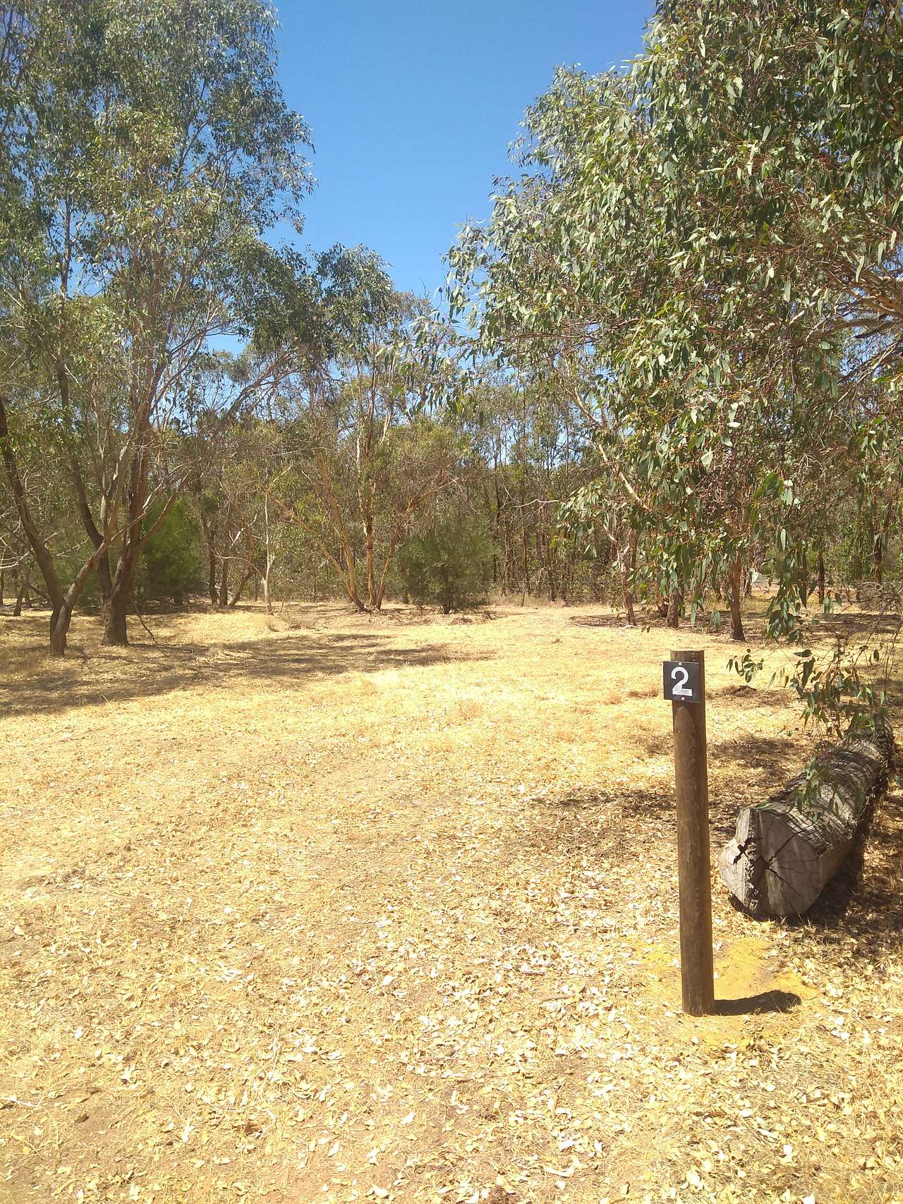 Paperbark Creek