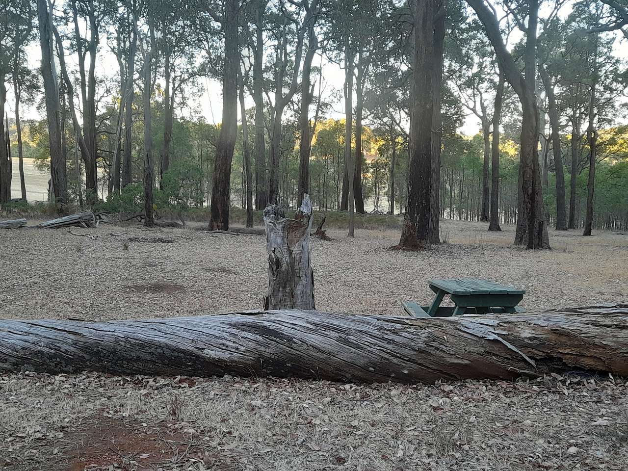 Picture of the site