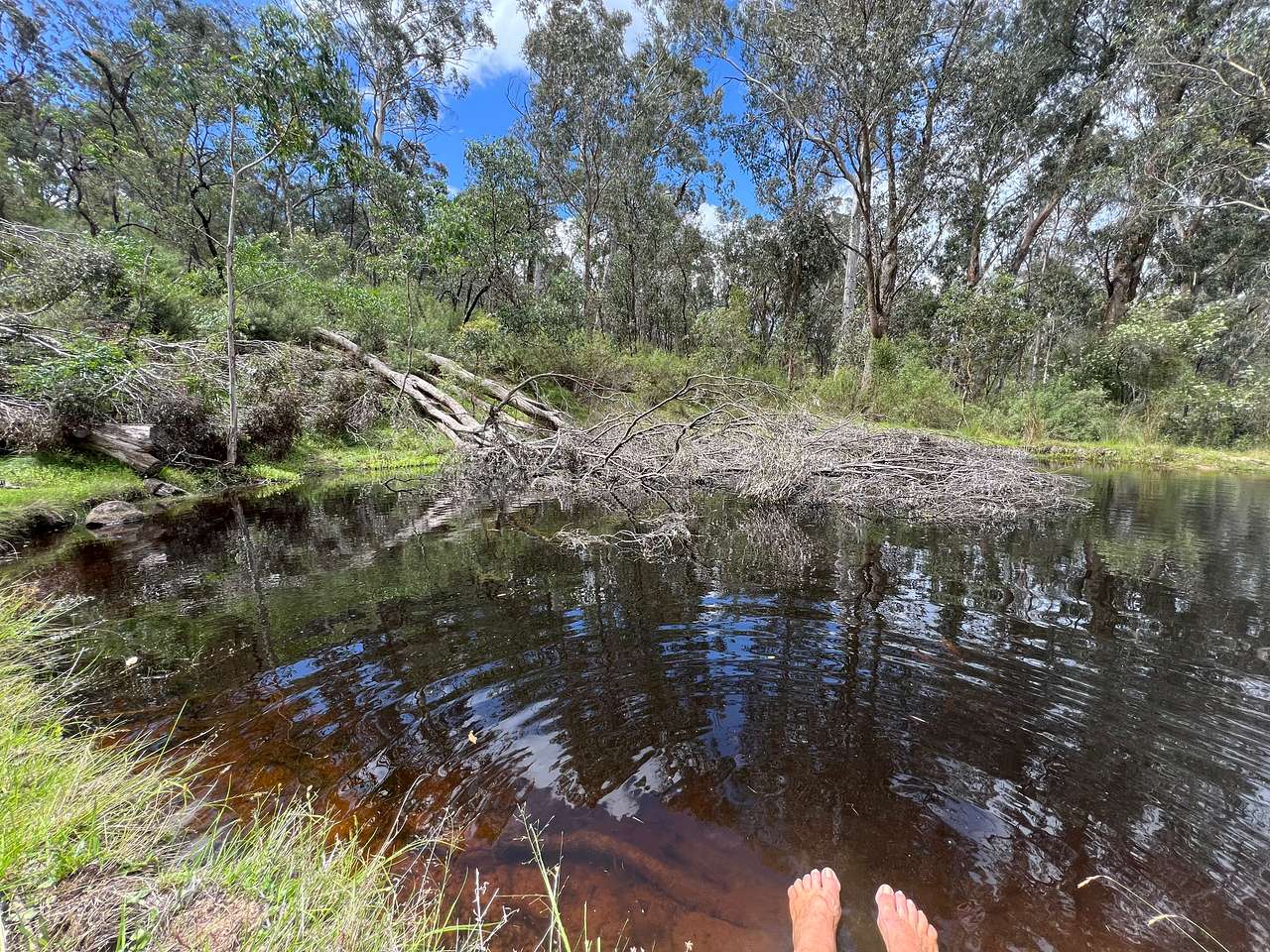 Picture of the site