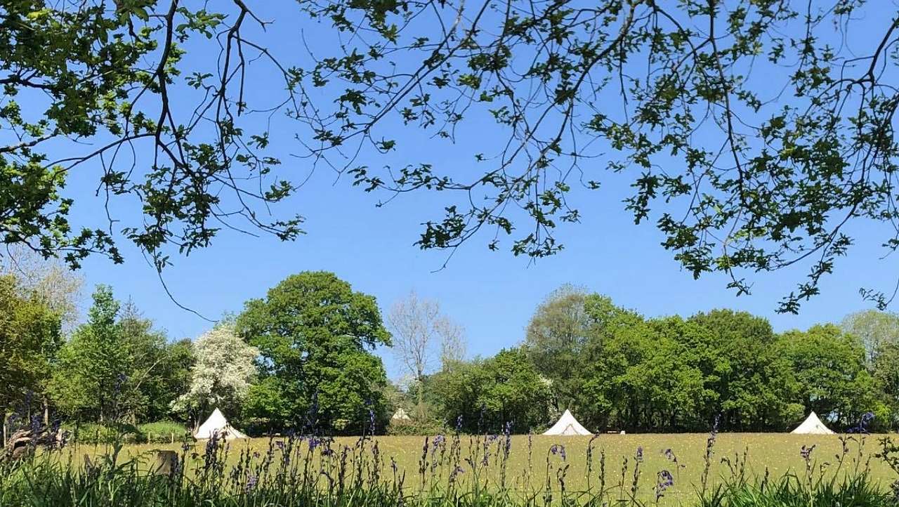 view from the pitch. you have your own Oak tree and small table and wooden stumps for seats.