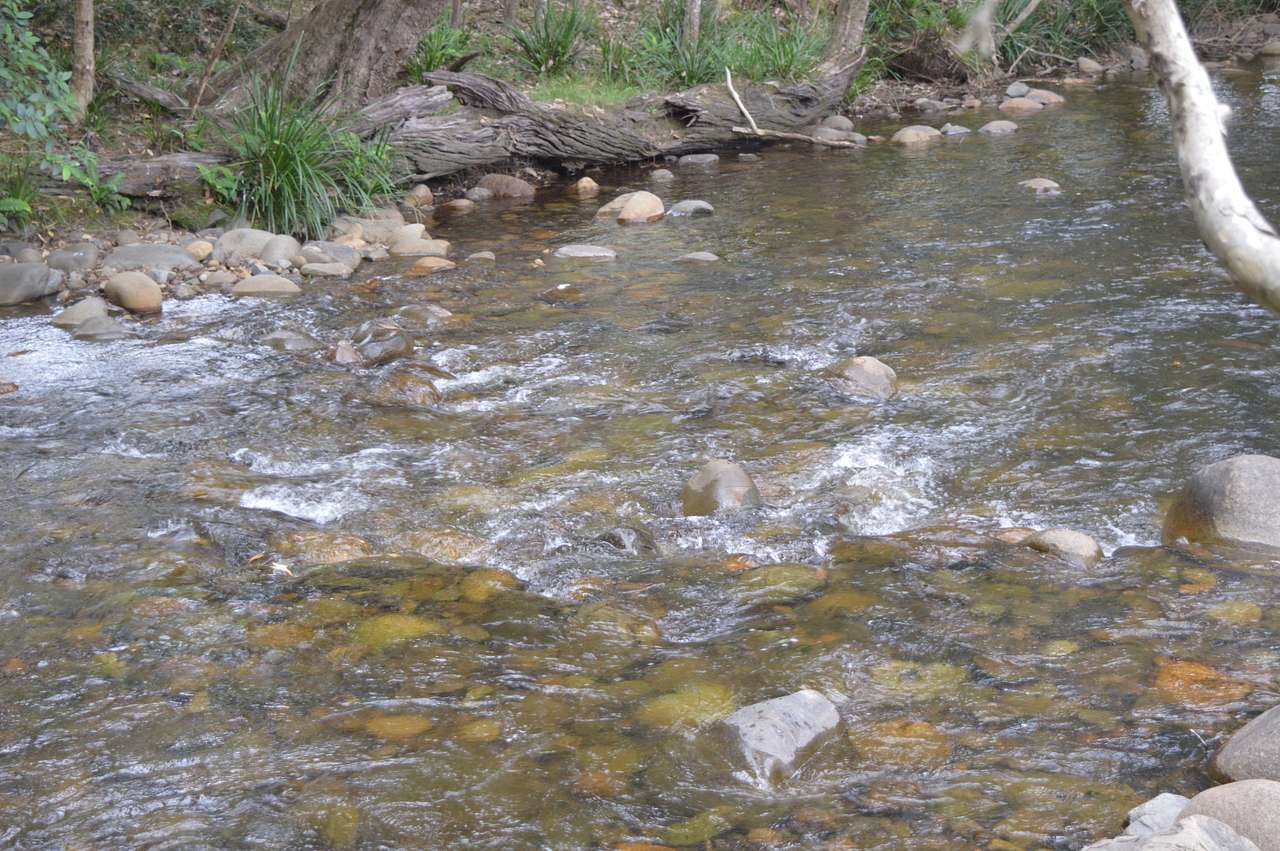 River Front Campsites