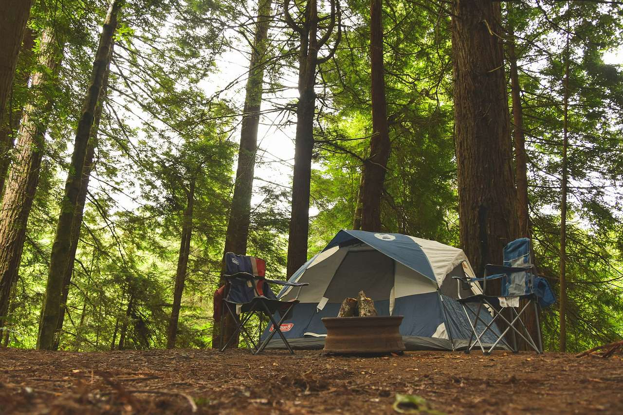 Penobscot River Camp, Argyle, Maine