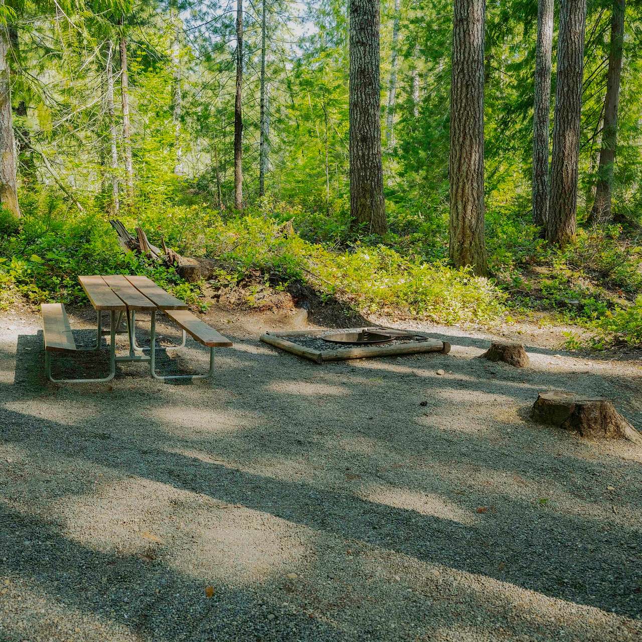 Skokomish Park At Lake Cushman