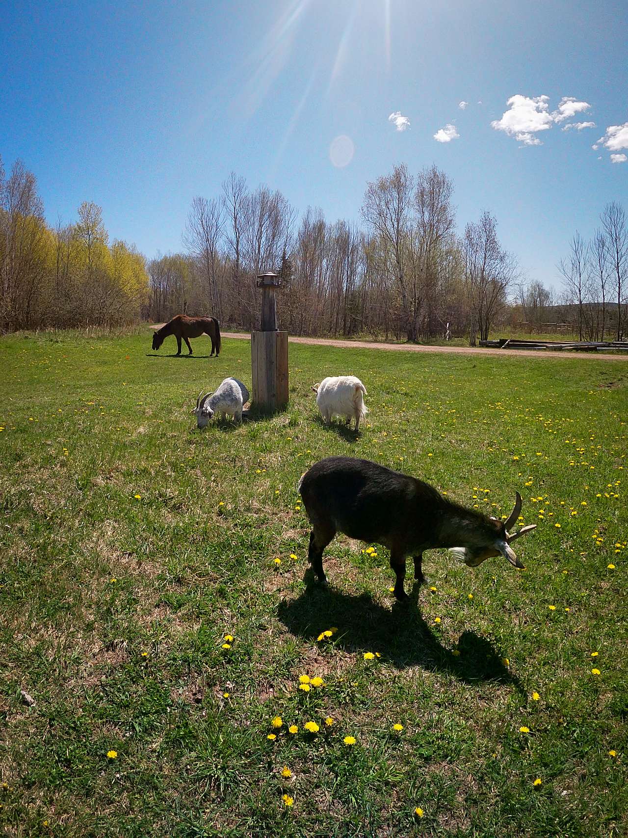 'Tiny House' Farm Stay near Lake Superior