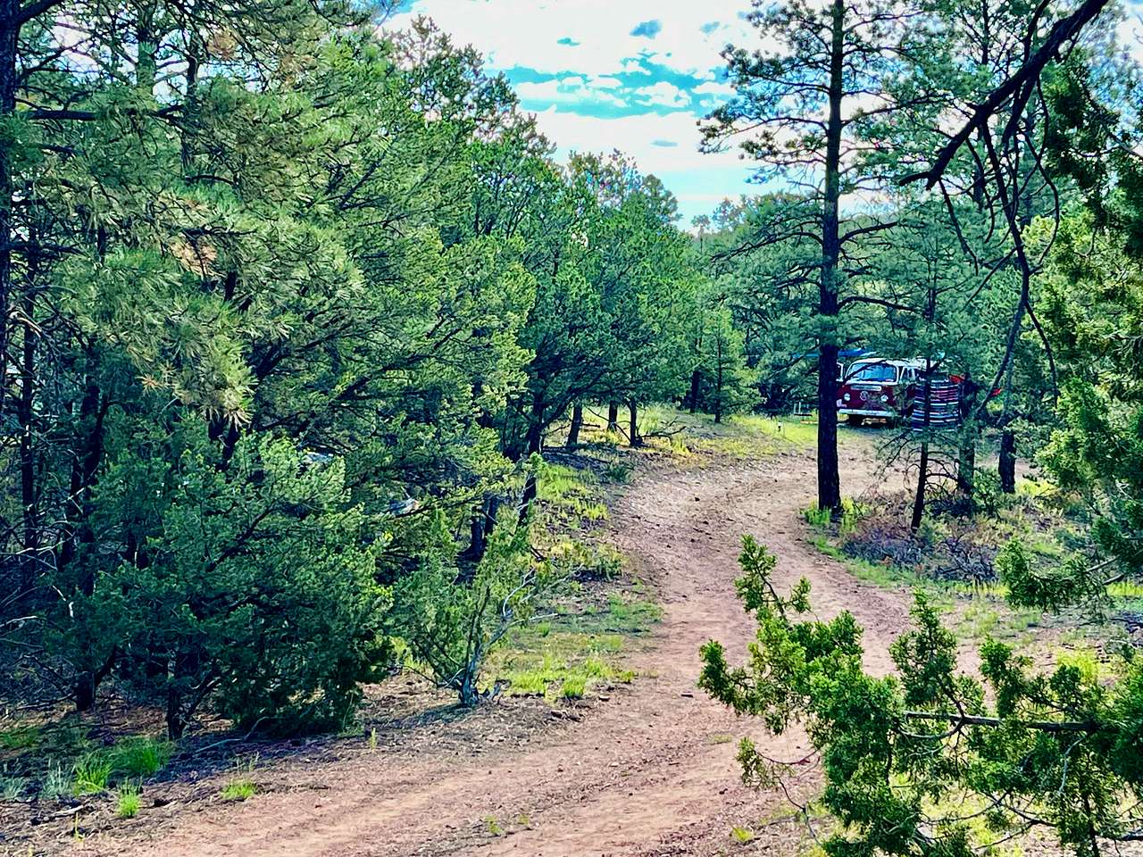 Santa Fe Treehouse Camp & Wilderness Preserve
