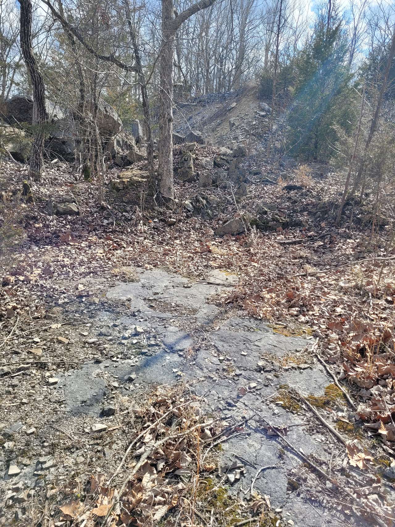 Picture of the site