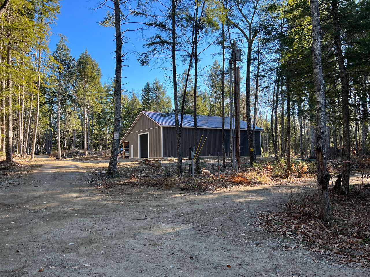 Serenity Pines - Jackies Moore