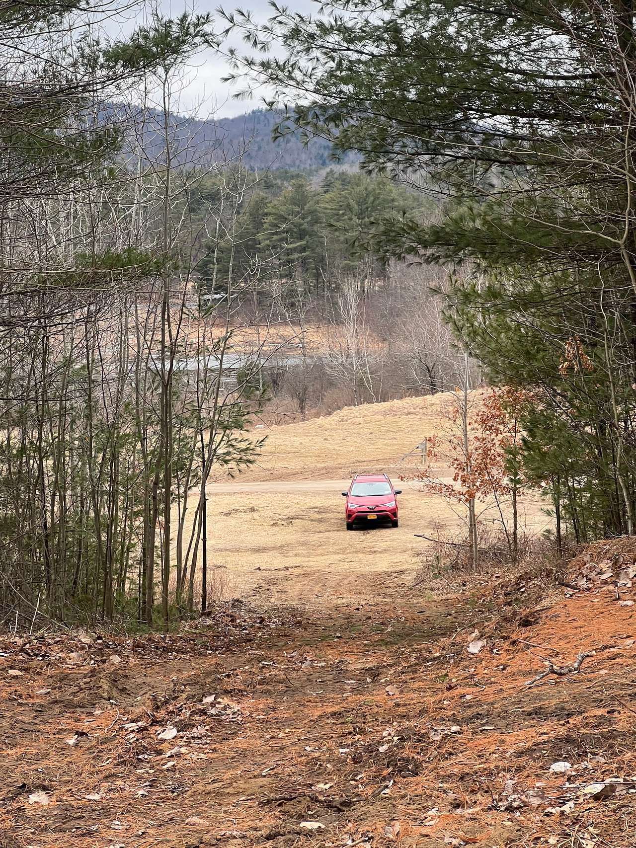 Road to Top of the Hill campsite.  