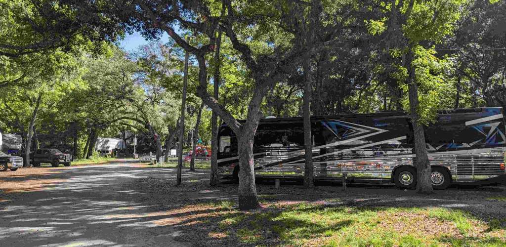Spacious Skies Savannah Oaks Campground