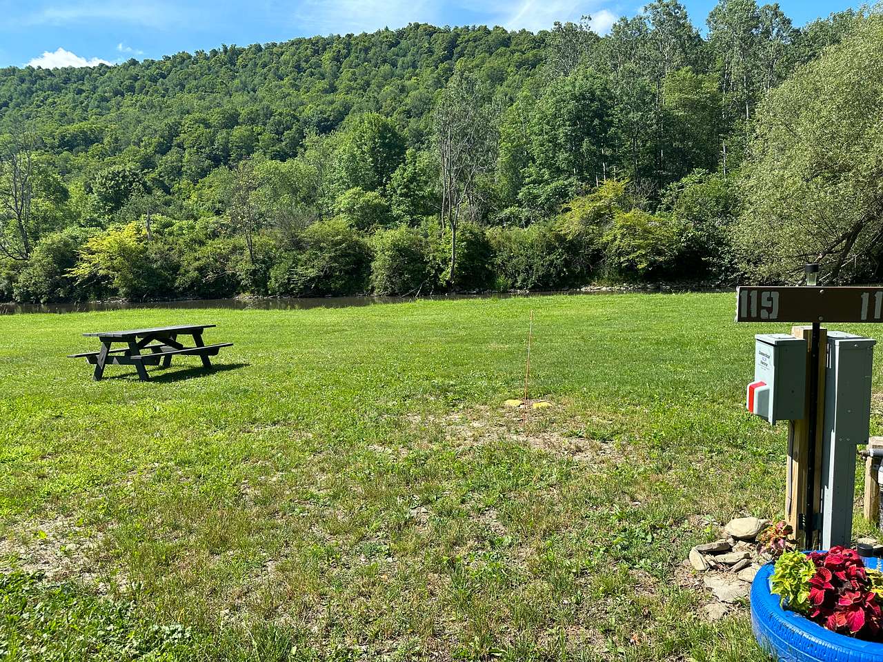 Picture of the site
